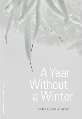A Year Without a Winter - Dehlia Hannah - cover
