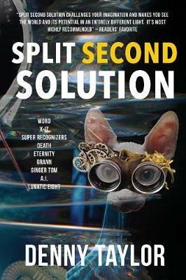 Split Second Solution - Denny Taylor - cover