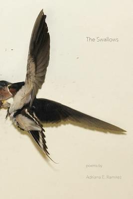The Swallows - Adriana E Ramirez - cover