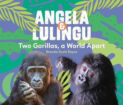 Angela & Lulingu: Two Gorillas, a World Apart - Brenda Scott Royce - cover