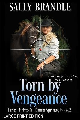 Torn By Vengeance - Sally Brandle - cover