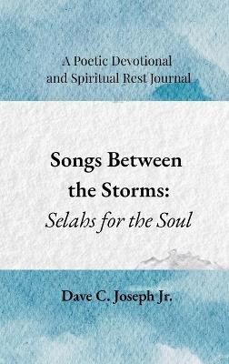 Songs Between the Storms - Dave C Joseph - cover