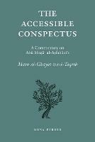 The Accessible Conspectus - Musa Furber - cover