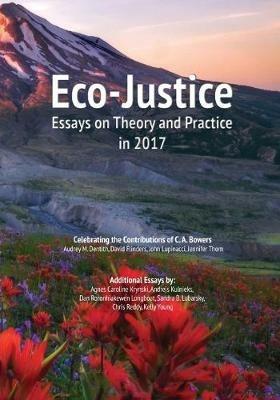 Eco-Justice: Essays on Theory and Practice in 2017 - Audrey M Dentith,David Flinders,John Lupinacci - cover