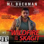 Wildfire on the Skagit