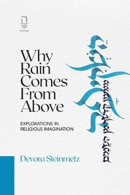 Why Rain Comes from Above: Explorations in Religious Imagination - Devora Steinmetz - cover