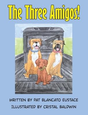The Three Amigos! - Pat Blancato Eustace - cover