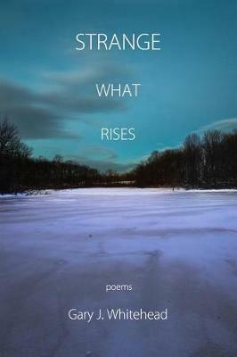 Strange What Rises - Gary J Whitehead - cover