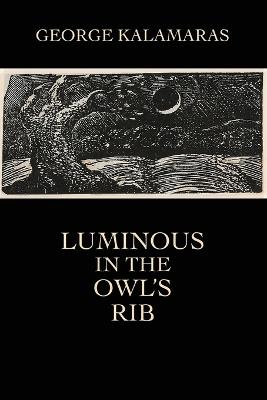 Luminous in the Owl's Rib - George Kalamaras - cover
