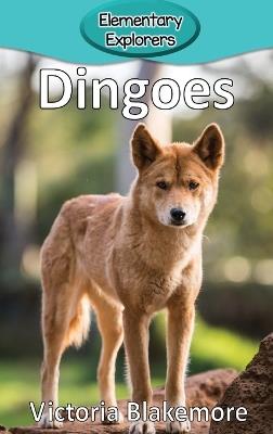 Dingoes - Victoria Blakemore - cover