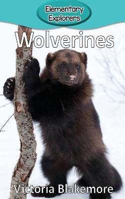 Wolverines - Victoria Blakemore - cover
