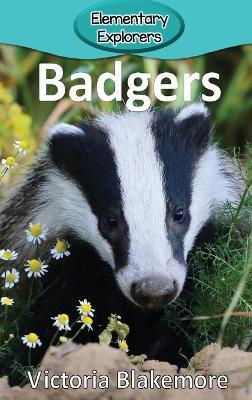 Badgers - Victoria Blakemore - cover