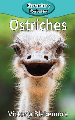 Ostriches - Victoria Blakemore - cover