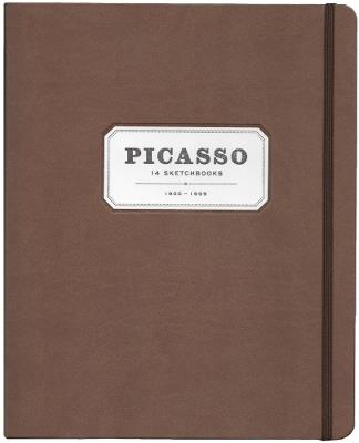 Picasso: 14 Sketchbooks - cover