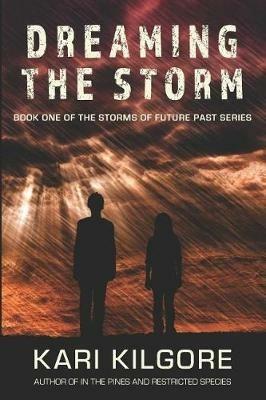 Dreaming the Storm - Kari Kilgore - cover