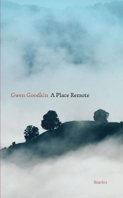 A Place Remote: Stories - Gwen Goodkin - cover