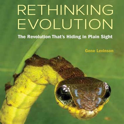 Rethinking Evolution