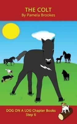 The Colt Chapter Book: Sound-Out Phonics Books Help Developing Readers, including Students with Dyslexia, Learn to Read (Step 6 in a Systematic Series of Decodable Books) - Pamela Brookes - cover