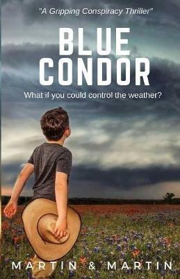 Blue Condor - Martin and Martin - cover