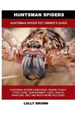 Huntsman Spiders: Huntsman Spider Pet Owner's Guide