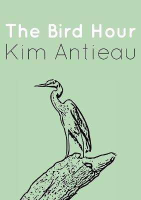 The Bird Hour - Kim Antieau - cover