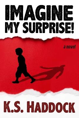 Imagine My Surprise!: A Novel - K.S. Haddock - cover