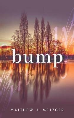 Bump - Matthew J Metzger - cover