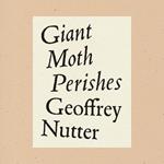 Giant Moth Perishes