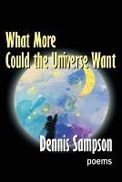 What More Could the Universe Want - Dennis Sampson - cover