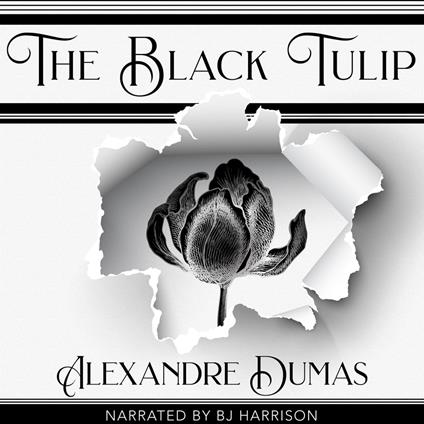 Black Tulip, The