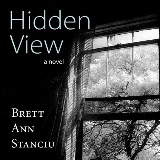 Hidden View