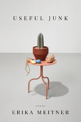 Useful Junk - Erika Meitner - cover