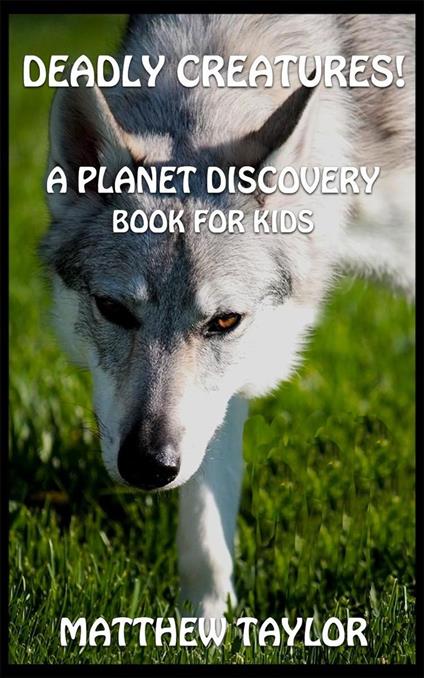 Deadly Creatures - Taylor Matthew - ebook
