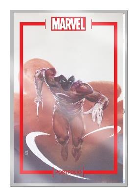 The Marvel Portfolio of Alex Maleev: The Marvel Universe - cover