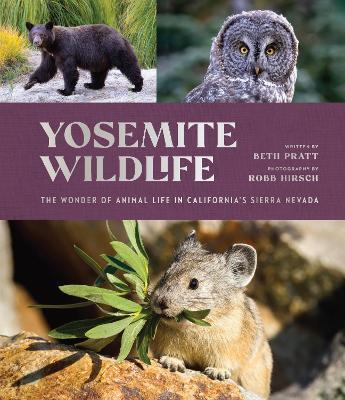 Yosemite Wildlife: The Wonder of Animal Life in California's Sierra Nevada - Beth Pratt - cover