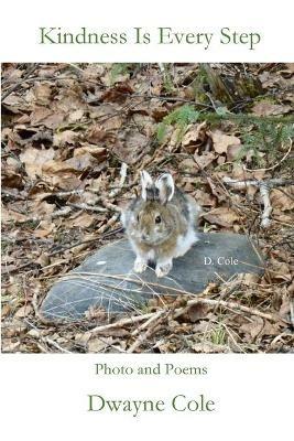 Kindness Is Every Step - Dwayne Cole - cover