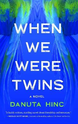 When We Were Twins: A Novel - Danuta Hinc - cover