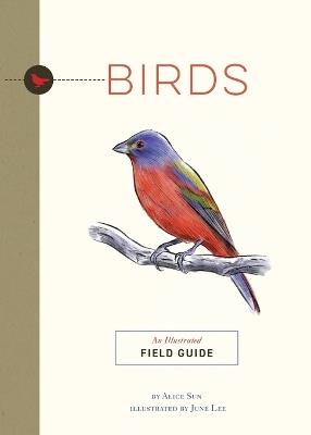 Birds: An Illustrated Field Guide - Alice Sun - cover