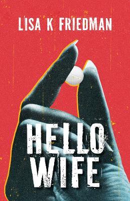 Hello Wife - Lisa K Friedman - cover
