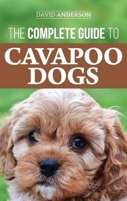 The Complete Guide to Cavapoo Dogs: Everything you need to know to successfully raise and train your new Cavapoo puppy - David Anderson - cover