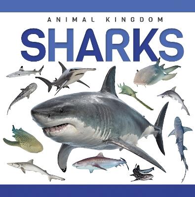 Sharks - Alex Hall - cover