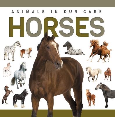 Horses - Alex Hall - cover