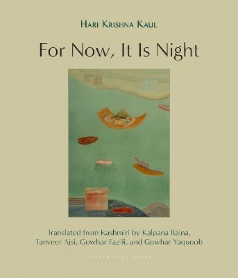 For Now, It Is Night: Stories - Hari Krishna Kaul,Kalpana Raina,Tanveer Ajsi - cover
