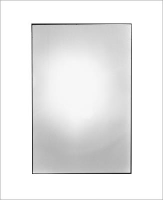 Zoe Leonard: Available Light - cover