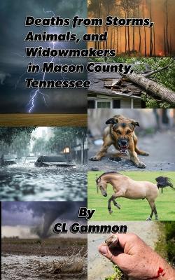 Deaths from Storms, Animals, and Widowmakers in Macon County, Tennessee - CL Gammon - cover