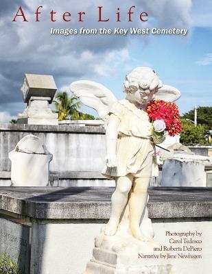 After Life: Images From The Key West Cemetery: Images from the Key West Cemetery - Carol Tedesco,Jane Newhagen,Roberta Perkins - cover
