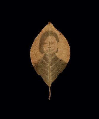 Binh Danh: The Enigma of Belonging - cover
