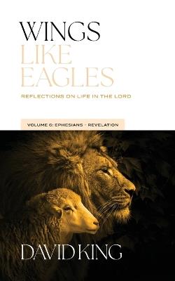 Wings Like Eagles: Reflections on Life in the Lord Volume 6: Ephesians-Revelation - David King - cover