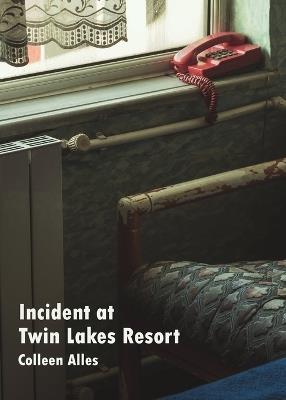 Incident at Twin Lakes Resort - Colleen Alles - cover