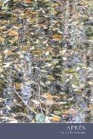 Apres - Lauri Robertson - cover